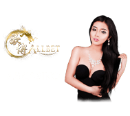 abcasino GOLDENHOKI