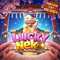 neko GOLDENHOKI